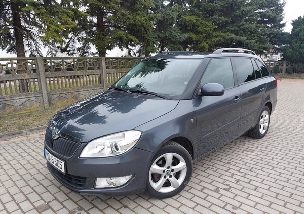 Skoda Fabia cena 14999 przebieg: 164000, rok produkcji 2010 z Płońsk małe 211